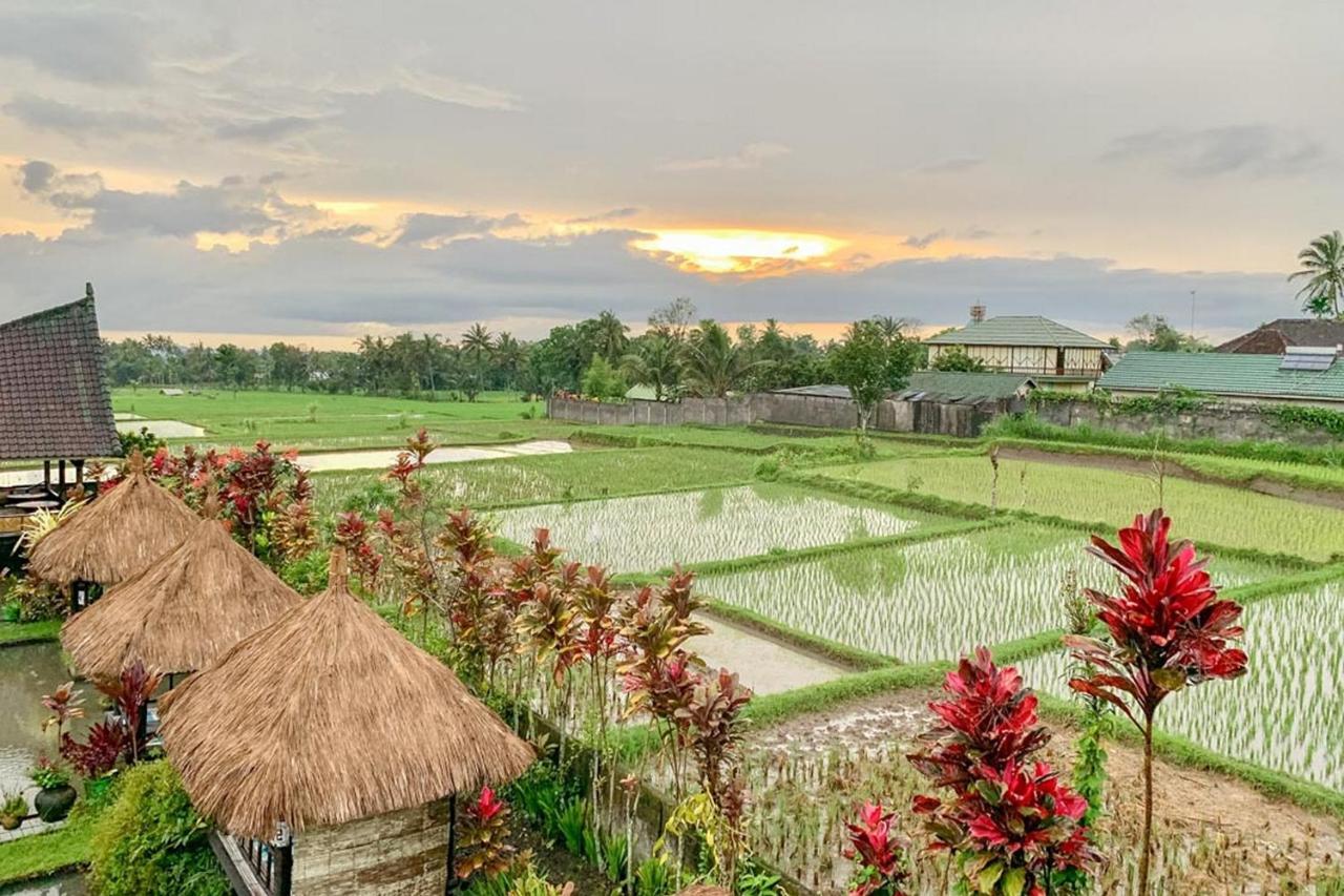 Lesehan Cahaya Tetebatu Inn Syariah At Desa Wisata المظهر الخارجي الصورة